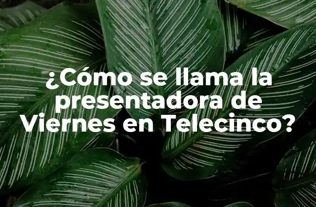 ¿Quién es la presentadora de Viernes en Telecinco?