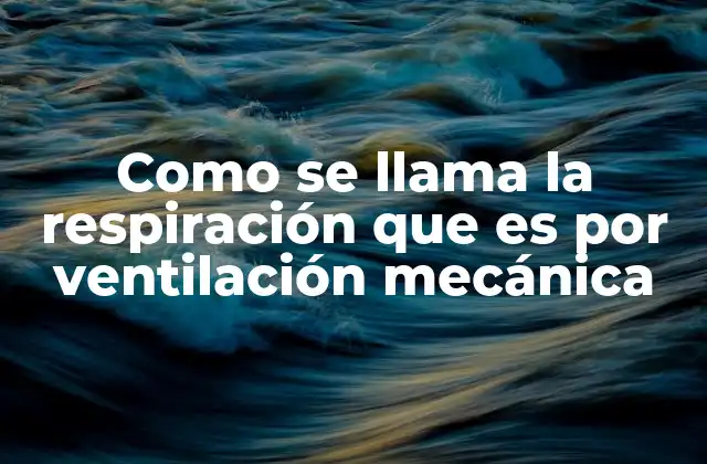 Como Se Llama la Respiración que es por Ventilación Mecánica