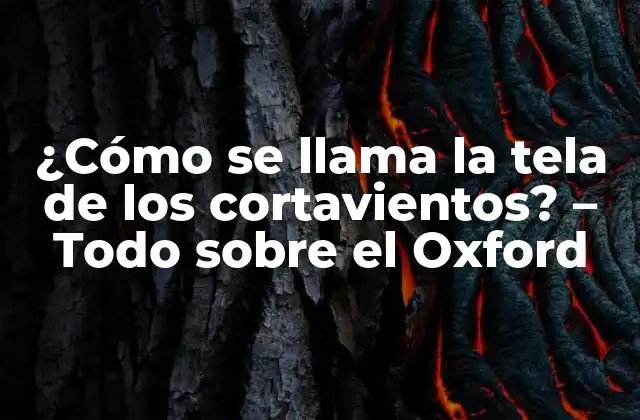 ¿cómo Se Llama la Tela de los Cortavientos? – Todo sobre el Oxford