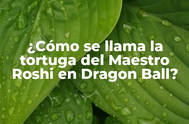 ¿cómo Se Llama la Tortuga Del Maestro Roshi en Dragon Ball?