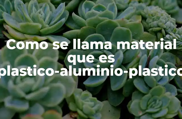 Como Se Llama Material que es Plastico-aluminio-plastico