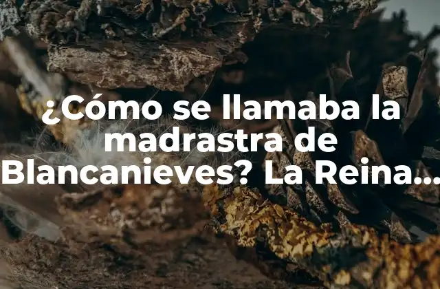 ¿cómo Se Llamaba la Madrastra de Blancanieves? la Reina Malvada Detrás de la Leyenda