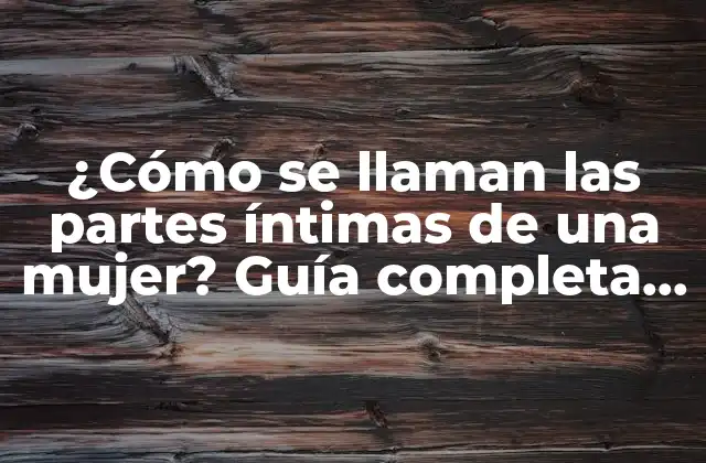 ¿cómo Se Llaman las Partes Íntimas de una Mujer? Guía Completa y Detallada