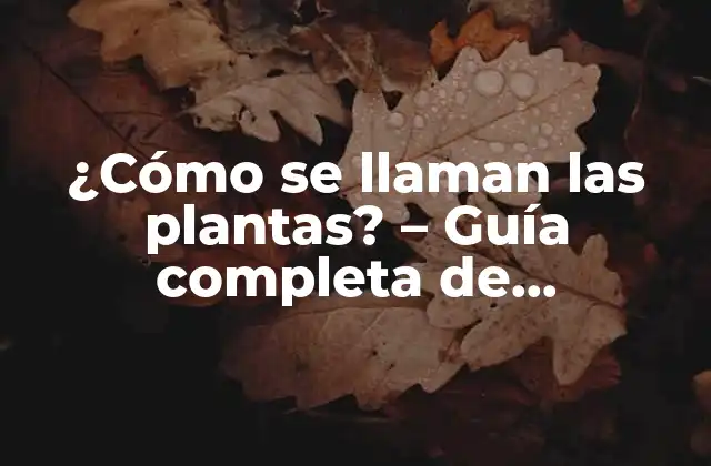 ¿cómo Se Llaman las Plantas? – Guía Completa de Nomenclatura Botánica