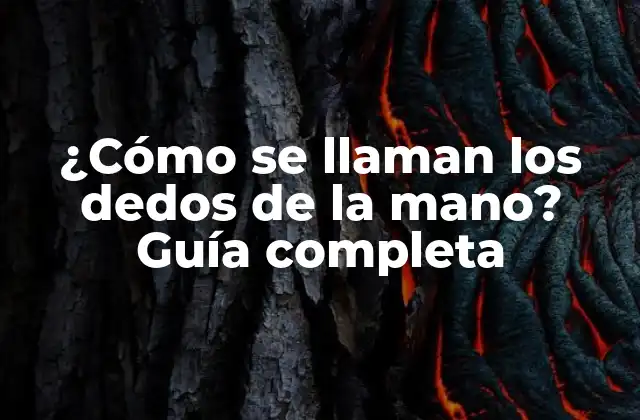¿cómo Se Llaman los Dedos de la Mano? Guía Completa