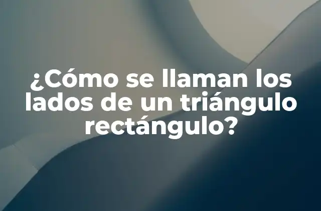 ¿cómo Se Llaman los Lados de un Triángulo Rectángulo?