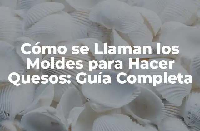 Cómo Se Llaman los Moldes para Hacer Quesos: Guía Completa