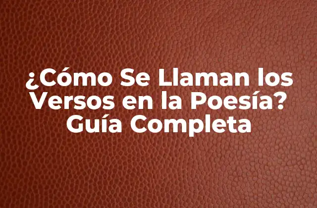 ¿cómo Se Llaman los Versos en la Poesía? Guía Completa