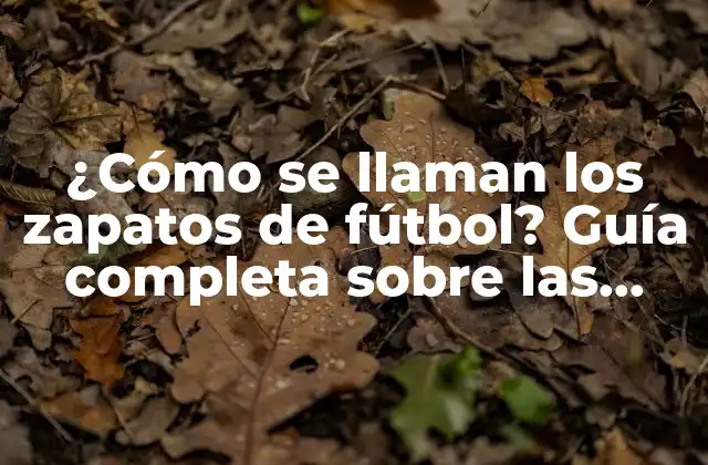 ¿cómo Se Llaman los Zapatos de Fútbol? Guía Completa sobre las Diferentes Opciones