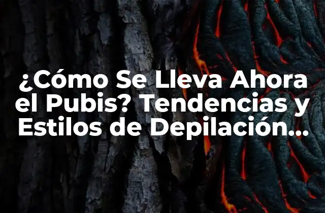 ¿cómo Se Lleva Ahora el Pubis? Tendencias y Estilos de Depilación Intíma