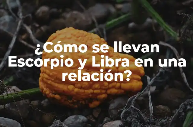 ¿cómo Se Llevan Escorpio y Libra en una Relación?