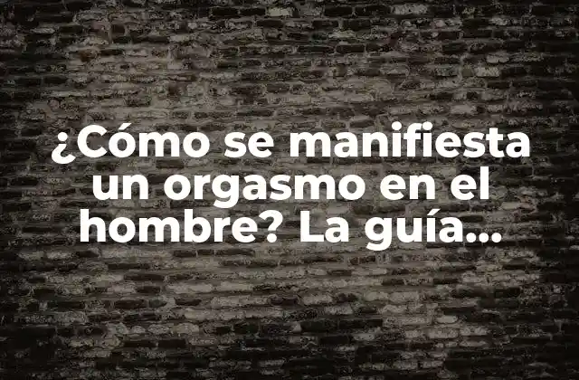 ¿cómo Se Manifiesta un Orgasmo en el Hombre? la Guía Definitiva