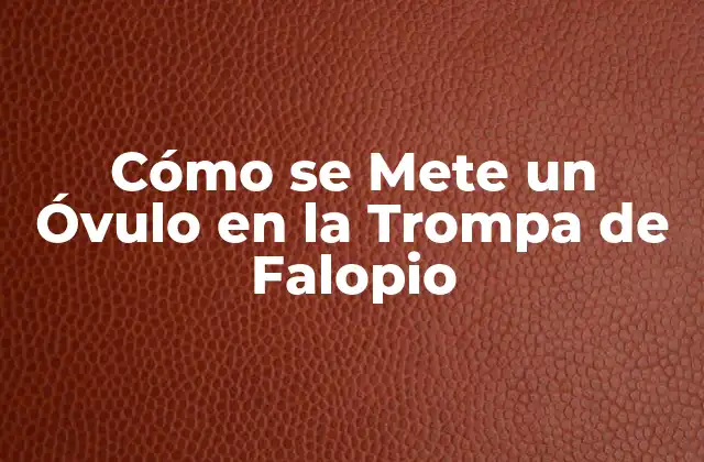 Cómo Se Mete un Óvulo en la Trompa de Falopio