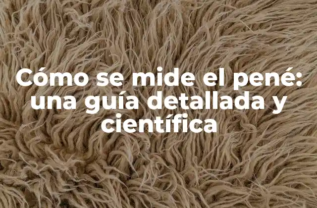 Cómo Se Mide el Pené: una Guía Detallada y Científica