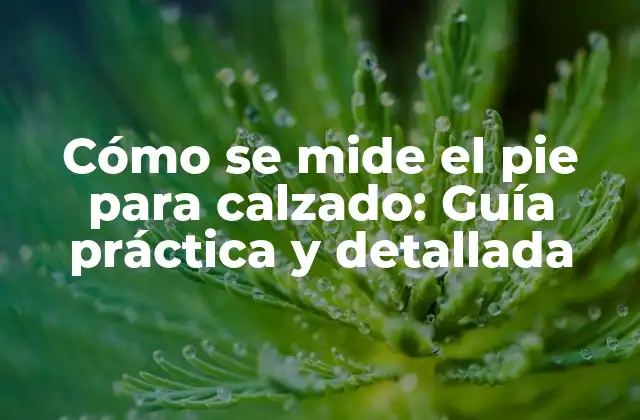 ¿Por qué es importante medir el pie para calzado?