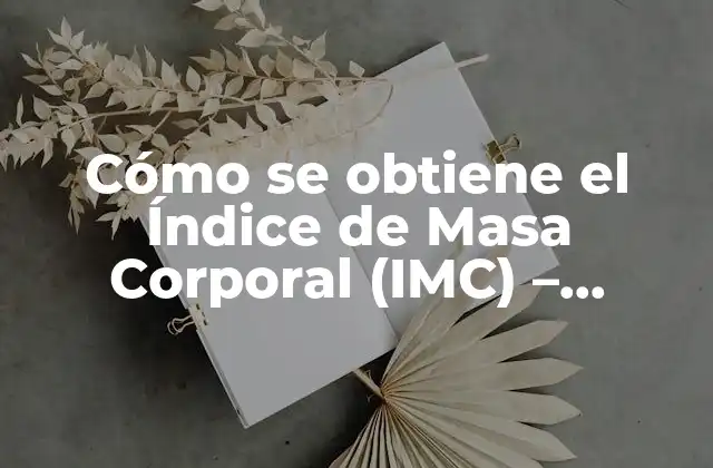 Cómo Se Obtiene el Índice de Masa Corporal (imc) – Calculadora y Fórmula