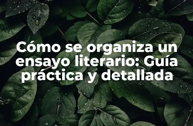 Cómo Se Organiza un Ensayo Literario: Guía Práctica y Detallada