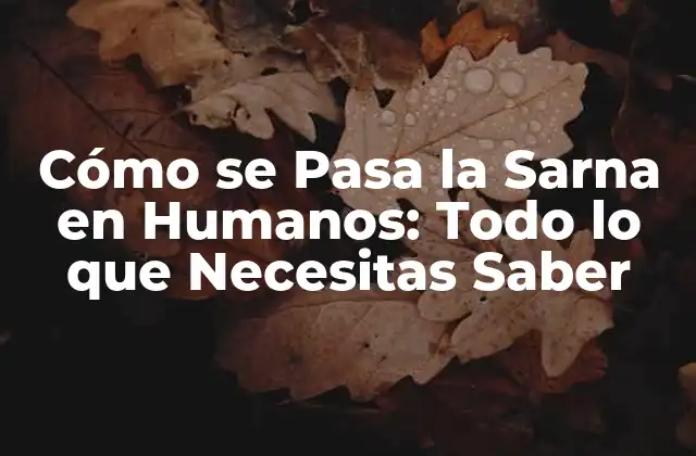 Cómo Se Pasa la Sarna en Humanos: Todo Lo que Necesitas Saber