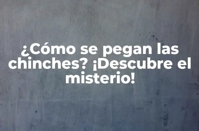 ¿cómo Se Pegan las Chinches? ¡descubre el Misterio! 2 Anatomía de las chinches