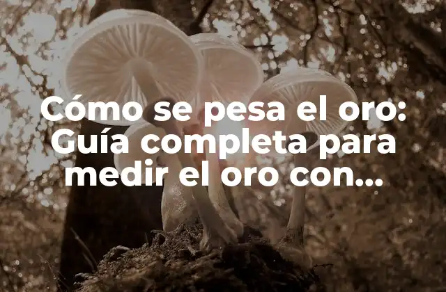 Unidades de medida para el oro