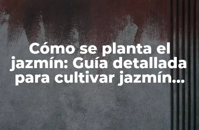Cómo Se Planta el Jazmín: Guía Detallada para Cultivar Jazmín con Éxito