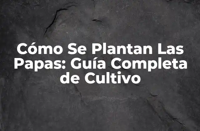 Cómo Se Plantan las Papas: Guía Completa de Cultivo