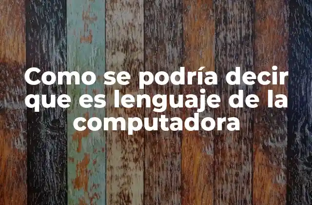 Como Se Podría Decir que es Lenguaje de la Computadora