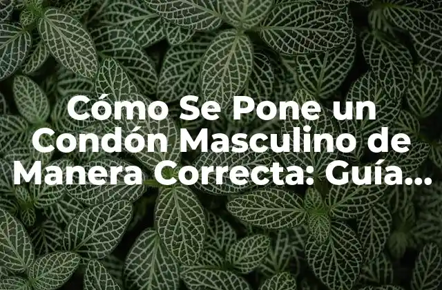 Cómo Se Pone un Condón Masculino de Manera Correcta: Guía Detallada