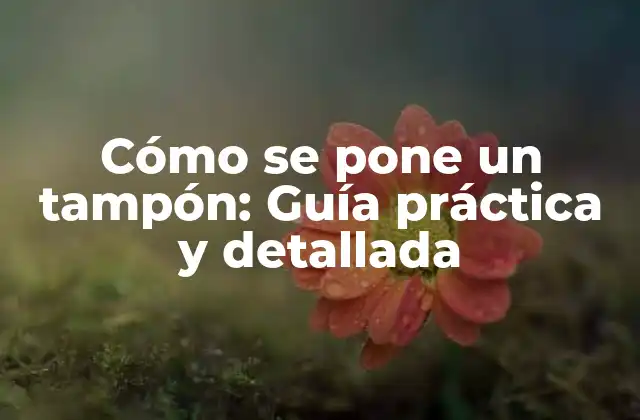Cómo Se Pone un Tampón: Guía Práctica y Detallada