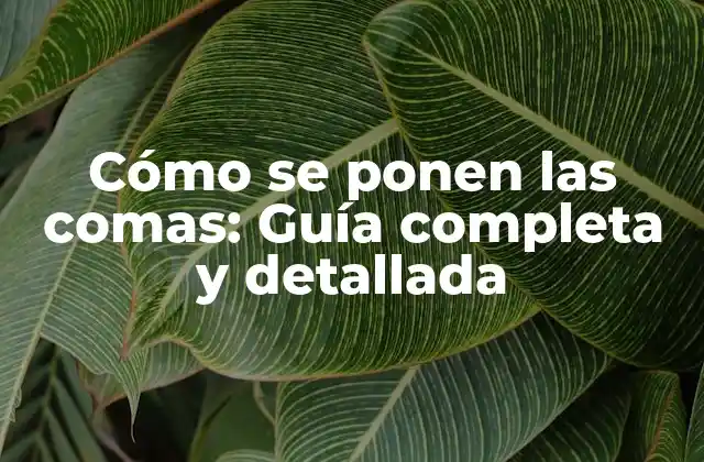 Cómo Se Ponen las Comas: Guía Completa y Detallada