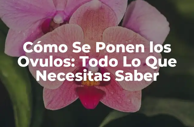 Cómo Se Ponen los Ovulos: Todo Lo que Necesitas Saber
