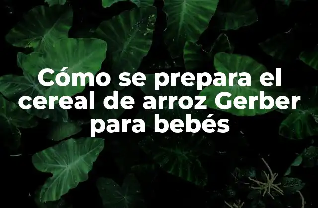 Cómo Se Prepara el Cereal de Arroz Gerber para Bebés