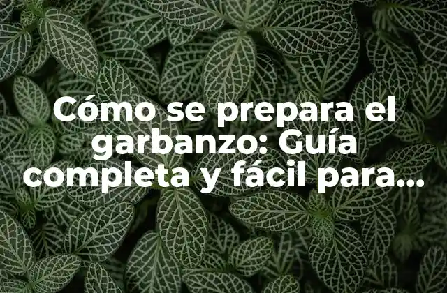 Cómo Se Prepara el Garbanzo: Guía Completa y Fácil para Cocinar Garbanzos