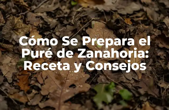 Cómo Se Prepara el Puré de Zanahoria: Receta y Consejos 2 Ingredientes Necesarios para Preparar el Puré de Zanahoria