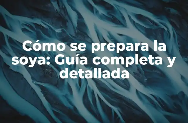 Cómo Se Prepara la Soya: Guía Completa y Detallada 2 Tipos de soya: ¿Cuál es la mejor opción para ti?