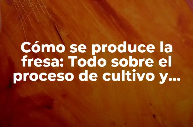 Cómo Se Produce la Fresa: Todo sobre el Proceso de Cultivo y Producción de Fresas