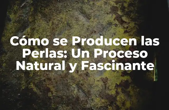 Cómo Se Producen las Perlas: un Proceso Natural y Fascinante