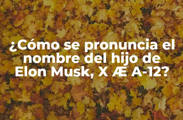 ¿cómo Se Pronuncia el Nombre Del Hijo de Elon Musk, X Æ A-12?