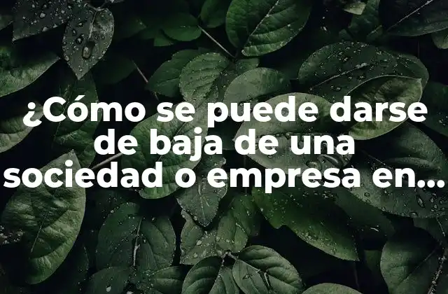 ¿cómo Se Puede Darse de Baja de una Sociedad o Empresa en España?