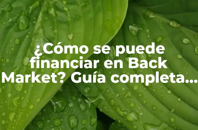 ¿cómo Se Puede Financiar en Back Market? Guía Completa para Comprar y Vender Productos Usados