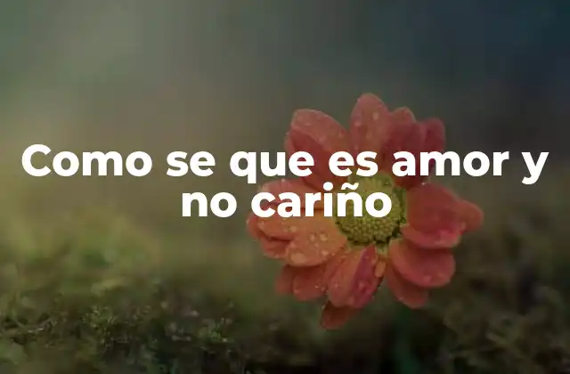 Como Se que es Amor y No Cariño