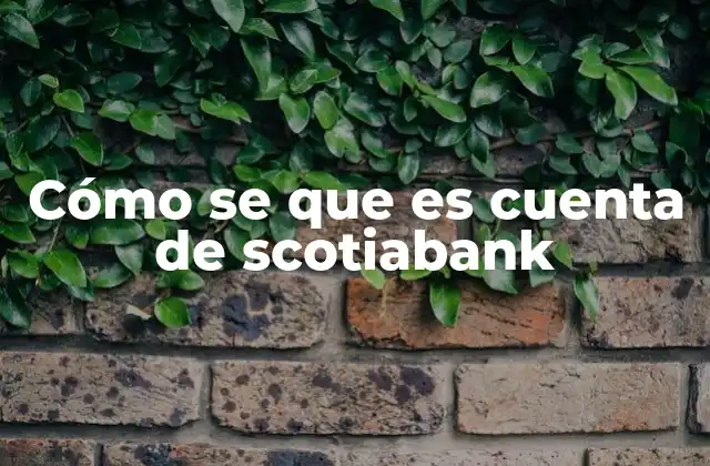 Cómo Se que es Cuenta de Scotiabank 2 Cómo identificar una cuenta bancaria sin mencionar el nombre del banco