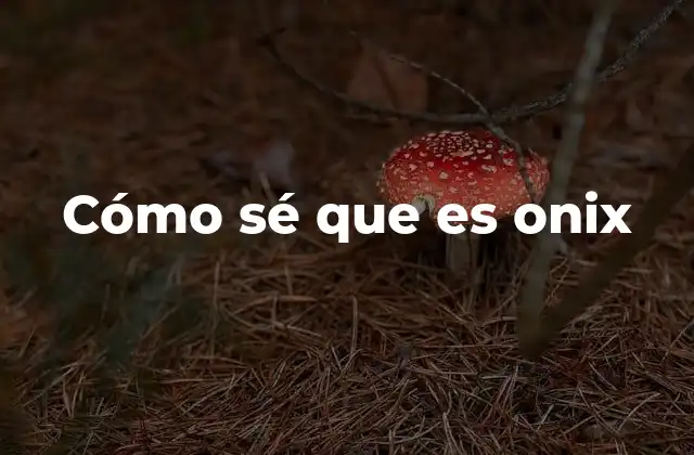 Cómo Sé que es Onix