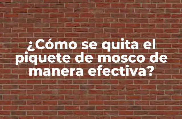 Causas del piquete de mosco