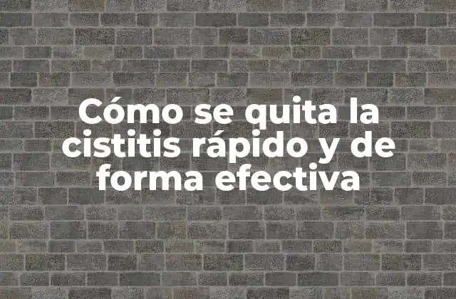 Cómo Se Quita la Cistitis Rápido y de Forma Efectiva 2 Causas y síntomas de la cistitis