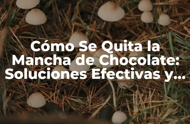 Cómo Se Quita la Mancha de Chocolate: Soluciones Efectivas y Fáciles