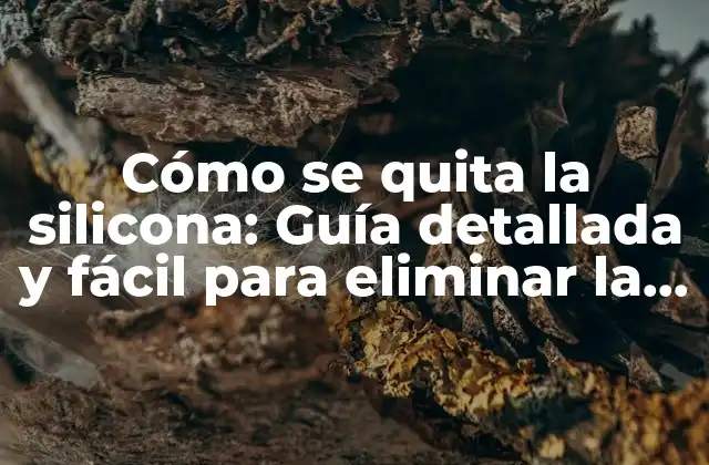Cómo Se Quita la Silicona: Guía Detallada y Fácil para Eliminar la Silicona de Superficies y Objetos
