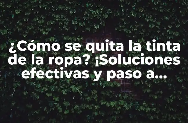¿cómo Se Quita la Tinta de la Ropa? ¡soluciones Efectivas y Paso a Paso!