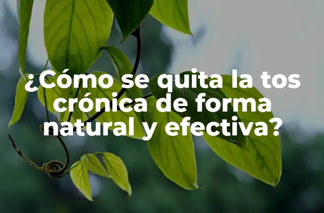 ¿cómo Se Quita la Tos Crónica de Forma Natural y Efectiva?