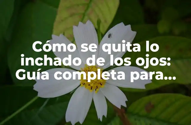 Cómo Se Quita Lo Inchado de los Ojos: Guía Completa para Reducir la Hinchazón Ocular